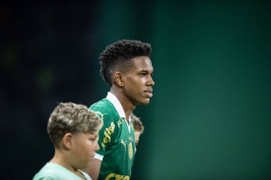 Sao Paulo (sp), Brazil 11 / 26 / 2024 - Palmeiras ve botafogo arasındaki maçta estevao, 2024 Brezilya futbol şampiyonasının 36. turu (ronaldo barreto / thenews2)