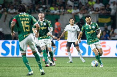 Sao Paulo (sp), Brezilya 11 / 26 / 2024 - Palmeiras ve botafogo maçı, 2024 Brezilya futbol şampiyonasının 36. turu için geçerli, bu salı gecesi, 26 Kasım 2024 tarihinde, allianz parkında (ronaldo barreto / thenews2)