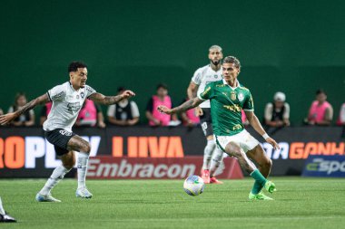 Sao Paulo (sp), Brezilya 11 / 26 / 2024 - Palmeiras ve botafogo maçı, 2024 Brezilya futbol şampiyonasının 36. turu için geçerli, bu salı gecesi, 26 Kasım 2024 tarihinde, allianz parkında (ronaldo barreto / thenews2)