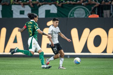 Sao Paulo (sp), Brezilya 11 / 26 / 2024 - Palmeiras ve botafogo maçı, 2024 Brezilya futbol şampiyonasının 36. turu için geçerli, bu salı gecesi, 26 Kasım 2024 tarihinde, allianz parkında (ronaldo barreto / thenews2)