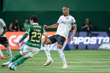 Sao Paulo (sp), Brezilya 11 / 26 / 2024 - Palmeiras ve botafogo maçı, 2024 Brezilya futbol şampiyonasının 36. turu için geçerli, bu salı gecesi, 26 Kasım 2024 tarihinde, allianz parkında (ronaldo barreto / thenews2)