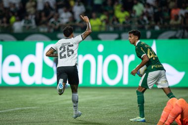 Sao Paulo (sp), Brezilya 11 / 26 / 2024 - Gregore 2024 Brezilya Futbol Şampiyonası 'nın 36. turu (ronaldo barreto / theenews2)