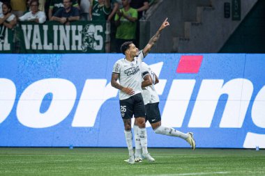 Sao Paulo (sp), Brezilya 11 / 26 / 2024 - Gregore 2024 Brezilya Futbol Şampiyonası 'nın 36. turu (ronaldo barreto / theenews2)