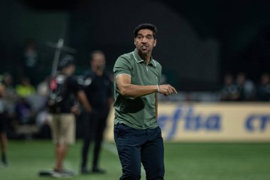 Sao Paulo (sp), Brezilya 11 / 26 / 2024 - Palmeiras ve botafogo arasındaki maçta koç Abel Ferreira, 2024 Brezilya Futbol Şampiyonası 'nın 36. turu (ronaldo barreto / theenews2)