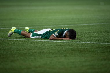 Sao Paulo (sp), Brezilya 11 / 26 / 2024 - Palmeiras ve botafogo maçı, 2024 Brezilya futbol şampiyonasının 36. turu için geçerli, bu salı gecesi, 26 Kasım 2024 tarihinde, allianz parkında (ronaldo barreto / thenews2)