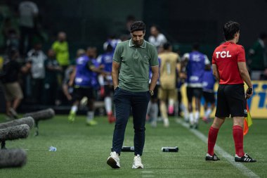 Sao paulo (sp), Brazil 11/26/2024 - coach abel ferreira in a match between palmeiras and botafogo, valid for the 36th round of the 2024 brazilian football championship (ronaldo barreto / thenews2) clipart