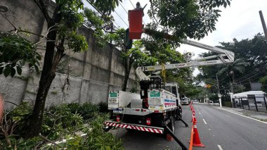 Sao Paulo (sp), Brezilya 12 / 08 / 2024 - enel ekipleri, bu pazar, 8 Aralık 2024 tarihinde, jardims rua estados unidos ve çevresindeki bölgelerde çok yıllık ağaç budama işlemi gerçekleştirdiler. (Oslaim Brito / Tenews2) 