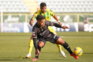 Tondela (pt) 12 / 15 / 2024 - cd tondela x portimonense pedro maranhao tondela player Tondela x portimonense arasındaki maç sırasında, liga Portekiz 2 meu süper (alexandre gomes / thenews2)