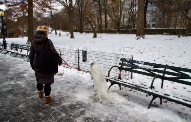 Central Park 'ta kar yağışıyla birlikte kışın ilk günü. 21 Aralık 2024, New York, ABD: New York şehri kışın ilk günü Central Park 'ta kar taneleriyle kaplandı. (niyi fote / the new ws2)