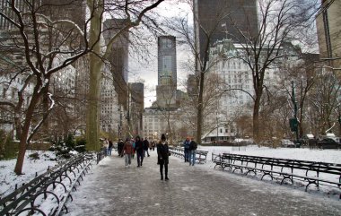 Central Park 'ta kar yağışıyla birlikte kışın ilk günü. 21 Aralık 2024, New York, ABD: New York şehri kışın ilk günü Central Park 'ta kar taneleriyle kaplandı. (niyi fote / the new ws2)