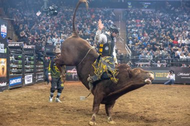 January 05, 2025, new york, new york, usa: paulo eduardo rossetto rides velvet revolver during third round of the professional bull riders 2025 unleash the beast event at madison square garden (m10s / thenews2) clipart