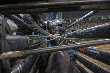 January 05, 2025, new york, new york, usa: keyshawn whitehorse gets ready to ride thriller in the chute during third round of the professional bull riders 2025 unleash the beast event (m10s / thenews2) clipart