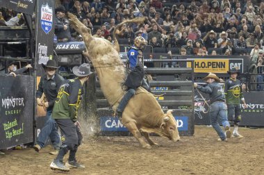 January 05, 2025, new york, new york, usa: brady fielder rides man hater during championship round of the professional bull riders 2025 unleash the beast event at madison square garden (m10s / thenews2) clipart