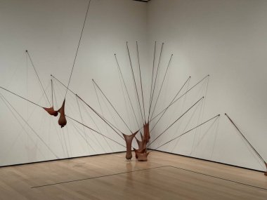 31 Ocak 2025, New York, ABD: moma; modern sanat müzesi, kollarını açmış herkesi kucaklayan, yaratıcılığı besleyen, akılları ateşleyen ve ilham veren bir yer. (Niyi Fote/Thenews2)