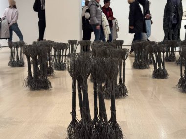 31 Ocak 2025, New York, ABD; modern sanat müzesi, açık kollarla herkesi karşılayan, yaratıcılığı besleyen, akılları ateşleyen ve ilham veren bir yerdir (niyi fote / thews2)