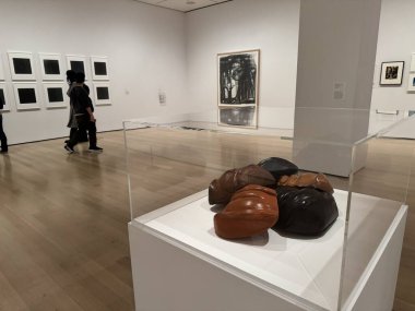 31 Ocak 2025, New York, ABD; modern sanat müzesi, açık kollarla herkesi karşılayan, yaratıcılığı besleyen, akılları ateşleyen ve ilham veren bir yerdir (niyi fote / thews2)               