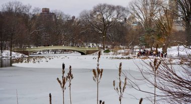 Central Park 'ta bir gecede 8 cm kar yağdı. 9 Şubat 2025, New York, ABD: New York Şehri cumartesi gecesi ve pazar günleri arasında tüm şehirde ve özellikle Central Park 'ta çok fazla kar taneciği bırakarak en şiddetli kar yağışıyla karşı karşıya kaldı