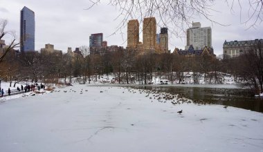 Central Park 'ta bir gecede 8 cm kar yağdı. 9 Şubat 2025, New York, ABD: New York Şehri cumartesi gecesi ve pazar günleri arasında tüm şehirde ve özellikle Central Park 'ta çok fazla kar taneciği bırakarak en şiddetli kar yağışıyla karşı karşıya kaldı