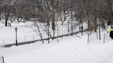 Central Park 'ta bir gecede 8 cm kar yağdı. 9 Şubat 2025, New York, ABD: New York Şehri cumartesi gecesi ve pazar günleri arasında tüm şehirde ve özellikle Central Park 'ta çok fazla kar taneciği bırakarak en şiddetli kar yağışıyla karşı karşıya kaldı