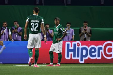 Sao Paulo (sp), Brezilya 02 / 16 / 2025 - Palmeiras ile Sao Paulo arasındaki maç 2025 paulista futbol şampiyonasının 10. turu için geçerli (leco viana / thenews2)