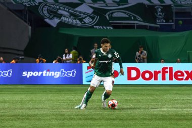 Sao paulo (sp), Brazil 02 / 16 / 2025 - Palmeiras ve sao paulo arasındaki maç sırasında raphael veiga, 2025 paulista futbol şampiyonasının 10. turu için geçerlidir (leco viana / theenews2)