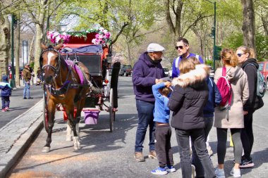 14 Nisan 2025, Central Park, New York, ABD: New Yorklular ve turistler güneşli bir günde kiraz çiçeklerini görmek için Central Park 'a akın ediyorlar; selfie çekiyorlar ve güzellikten faydalanıyorlar. (niyi fote / the new ws2)