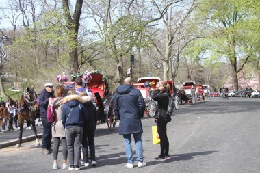 14 Nisan 2025, Central Park, New York, ABD: New Yorklular ve turistler güneşli bir günde kiraz çiçeklerini görmek için Central Park 'a akın ediyorlar; selfie çekiyorlar ve güzellikten faydalanıyorlar. (niyi fote / the new ws2)