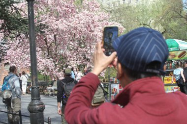 14 Nisan 2025, Central Park, New York, ABD: New Yorklular ve turistler güneşli bir günde kiraz çiçeklerini görmek için Central Park 'a akın ediyorlar; selfie çekiyorlar ve güzellikten faydalanıyorlar. (niyi fote / the new ws2)