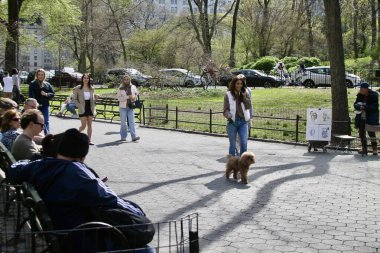 14 Nisan 2025, Central Park, New York, ABD: New Yorklular ve turistler güneşli bir günde kiraz çiçeklerini görmek için Central Park 'a akın ediyorlar; selfie çekiyorlar ve güzellikten faydalanıyorlar. (niyi fote / the new ws2)