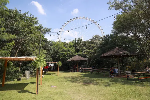 Sao Paulo (sp), Brezilya 03 / 05 / 2025 - dj luisa viscardi bu cumartesi öğleden sonra Sao Paulo 'daki villa lobos Park' ta düzenlenen nomade festivalinin açılışını gerçekleştirdi..