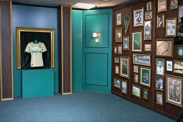 Sao Paulo (sp), Brezilya 09 / 05 / 2025 - Kupa / Kulüp Dünya Kupası / Palmeiras / sp hayranları, allianz parkında (leco viana / thenews2)