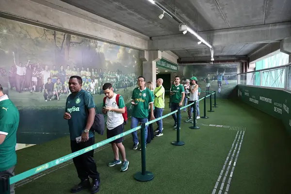 Sao Paulo (sp), Brezilya 09 / 05 / 2025 - Kupa / Kulüp Dünya Kupası / Palmeiras / sp hayranları, allianz parkında (leco viana / thenews2)
