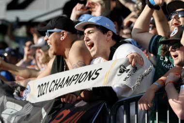 New York, ABD: 17 Mayıs 2025 - Mls maçı için Citifield Citifield Citifield 'da Nickfc ve Red Bull arasında oynanan futbol maçının taraftarları. (Fotoğraf: Niyi Fote / Thenews2 / Depozito Fotoğrafları) 