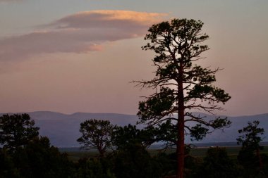 23 Mayıs 2025, Tres Piedras, New Mexico, ABD: Tres Piedras çölünde, New Mexico 'da gün batımı görülüyor. (Niyi Fote/Thenews2)                  