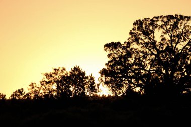 23 Mayıs 2025, Tres Piedras, New Mexico, ABD: Tres Piedras çölünde, New Mexico 'da gün batımı görülüyor. (Niyi Fote/Thenews2)                  