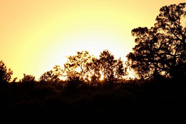 23 Mayıs 2025, Tres Piedras, New Mexico, ABD: Tres Piedras çölünde, New Mexico 'da gün batımı görülüyor. (Niyi Fote/Thenews2)                  