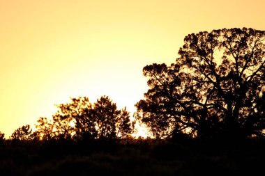 23 Mayıs 2025, Tres Piedras, New Mexico, ABD: Tres Piedras çölünde, New Mexico 'da gün batımı görülüyor. (Niyi Fote/Thenews2)                  
