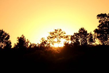 Tres Piedras, New Mexico, ABD: 23 Mayıs 2025 - New Mexico 'daki Tres Piedras çölünde gün batımı görüldü. Üç çöl taşında gün batımı. (Fotoğraf: Niyi Fote / Thenews2 / Depozito Fotoğrafları) 