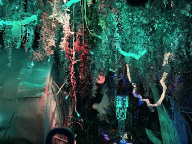 Santa Fe, New Mexico, ABD: 26 Mayıs 2025 - Miyav Wolf: Ebedi dönüş evi, 2008 'de küçük bir Santa Fe sanatçıları topluluğu olarak başladı. (Niyi Fote/Thenews2)