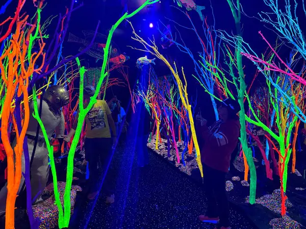 Santa Fe, New Mexico, ABD: 26 Mayıs 2025 - Miyav Wolf: Ebedi dönüş evi, 2008 'de küçük bir Santa Fe sanatçıları topluluğu olarak başladı. (Niyi Fote/Thenews2)