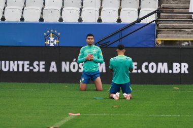 Sao Paulo (SP), Brezilya 06 / 09 / 2025 Paraguay milli takımı maçından önce, Sao Paulo 'daki Neo Quimica Arena' da (leco viana / thews2)