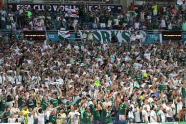 23 Haziran 2025, Miami, Florida: Miami 'deki Hard Rock Stadyumu' nda oynanan Fifa Dünya Kulüpler Kupası 'nın son maçında Miami FC ve Palmeiras arasında oynanan futbol maçı taraftarları. (niyi fote / the new ws2)