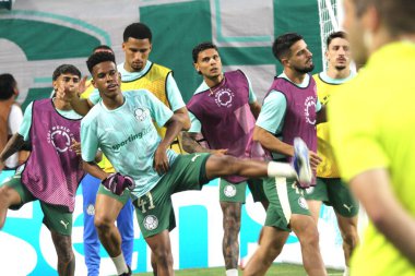 23 Haziran 2025, Miami, Florida, ABD: her iki takımın oyuncuları Miami FC ve Palmeiras arasındaki futbol maçından önce Hard Rock Stadyumu 'nda (Niyi fote / thews2)