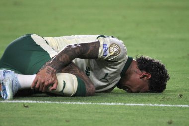 23 Haziran 2025, Miami, Florida, Miami 'deki Hard Rock Stadyumu' nda oynanan Fifa Dünya Kulüpler Kupası 'nın son maçında Miami FC ve Palmeiras arasında oynanan futbol maçı. (niyi fote / the new ws2)