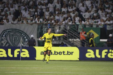 Sao Paulo (SP), Brezilya 07 / 16 / 2025 - Mirassol 'dan Chico da Costa, Brezilya Futbol Şampiyonası' nın 14. turu için Palmeiras ve Mirassol arasındaki maçtaki golünü kutluyor (leco viana / theenews2)