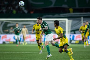 Sao Paulo (SP), Brezilya 7 / 16 / 2025 - Brezilya Futbol Şampiyonası 14. turu için Palmeiras ve Mirassol arasında, 16 Temmuz 2025 Çarşamba akşamı Allianz Parque 'da (ronaldo barreto / thenews2)