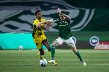 Sao Paulo (SP), Brezilya 7 / 16 / 2025 - Brezilya Futbol Şampiyonası 'nın 14. turu için Palmeiras ve Mirassol arasında oynanan maç, Çarşamba akşamı (ronaldo barreto / theenews2)