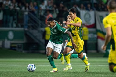 Sao Paulo (SP), Brezilya 7 / 16 / 2025 - Brezilya Futbol Şampiyonası 14. turu için Palmeiras ve Mirassol arasında, 16 Temmuz 2025 Çarşamba akşamı Allianz Parque 'da (ronaldo barreto / thenews2)