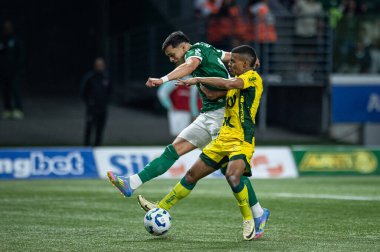 Sao Paulo (SP), Brezilya 7 / 16 / 2025 - Brezilya Futbol Şampiyonası 14. turu için Palmeiras ve Mirassol arasında, 16 Temmuz 2025 Çarşamba akşamı Allianz Parque 'da (ronaldo barreto / thenews2)