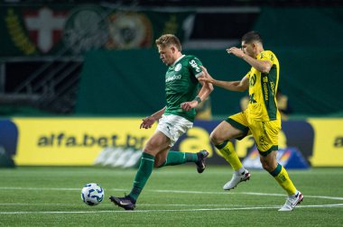 Sao Paulo (SP), Brezilya 7 / 16 / 2025 - Brezilya Futbol Şampiyonası 14. turu için Palmeiras ve Mirassol arasında, 16 Temmuz 2025 Çarşamba akşamı Allianz Parque 'da (ronaldo barreto / thenews2)